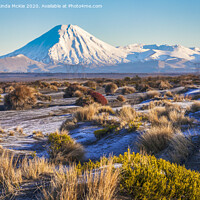 Buy canvas prints of Ngauruhoe from the Desert Road by Colin & Linda McKie