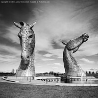 Buy canvas prints of 'The Kelpies' by Andy Scott by Colin & Linda McKie