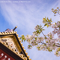 Buy canvas prints of Cherry Blossom and Ornamental Gate, Shiba Park, Tokyo by Colin & Linda McKie