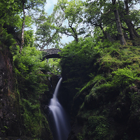 Buy canvas prints of Aira Force by James Wood