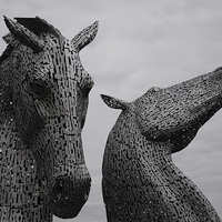 Buy canvas prints of The Kelpies  by James Wood