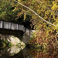 Buy canvas prints of Water of Leith footbridge by James Wood