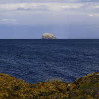 Buy canvas prints of  Bass Rock from North Berwick, East Lothian by Ann McGrath