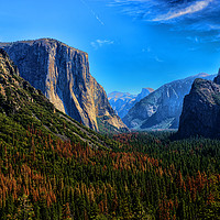 Buy canvas prints of Yosemite National Park California by Ann McGrath