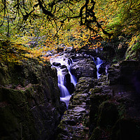 Buy canvas prints of Hermitage Falls Perth by Ann McGrath