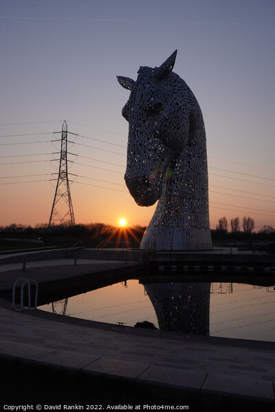 the Kelpies at sunset , the Helix , Falkirk Scotland Picture Board by Photogold Prints