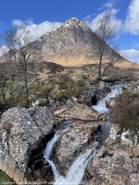 Buachaille Etive Mor  , Glencoe in the Highlands of Scotland , H Picture Board by Photogold Prints