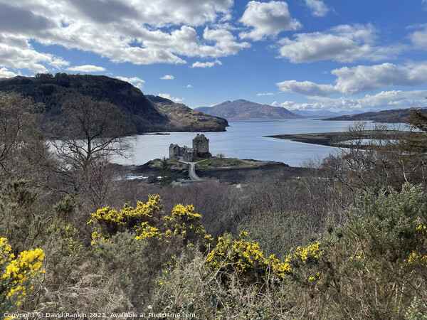 Eilean Donan Castle , the Highlands of Scotland  Picture Board by Photogold Prints