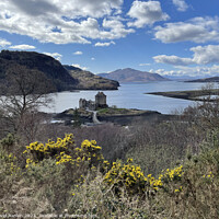 Buy canvas prints of Eilean Donan Castle , the Highlands of Scotland  by Photogold Prints