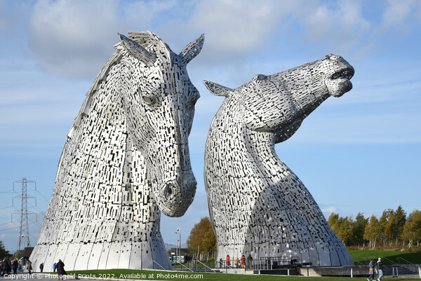 The Kelpies , the Helix , Falkirk Picture Board by Photogold Prints