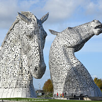 Buy canvas prints of The Kelpies , the Helix , Falkirk by Photogold Prints