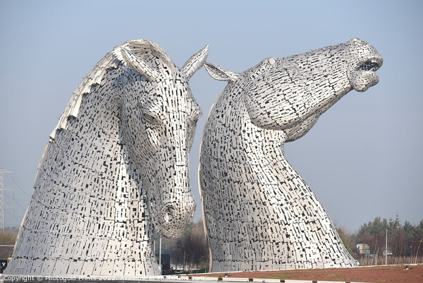 Kelpies prints , the Helix Falkirk canvas prints Picture Board by Photogold Prints