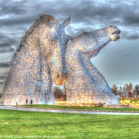 Buy canvas prints of the Kelpies, the Helix, Falkirk , Scotland  by Photogold Prints