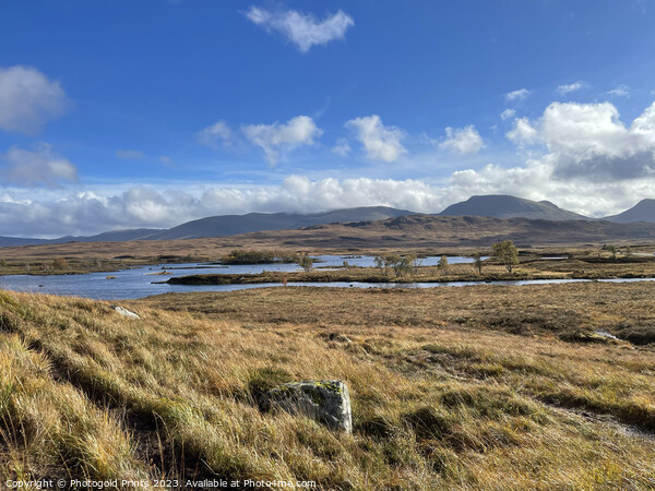 Rannoch Moor in the Highlands of Scotland Picture Board by Photogold Prints