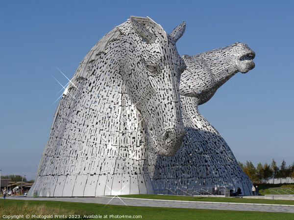 the Kelpies, Helix Park , Falkirk , Scotland  Picture Board by Photogold Prints