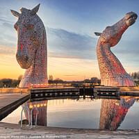 Buy canvas prints of  the Kelpies at sunset  , the Helix , Falkirk by Photogold Prints