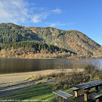Buy canvas prints of Loch Lubnaig in the Highlands of Scotland by Photogold Prints