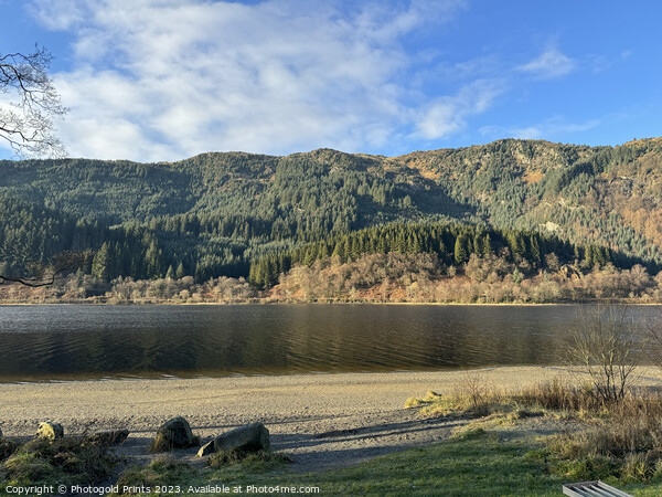  Loch Lubnaig , the  Highlands , Scotland Picture Board by Photogold Prints