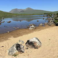 Buy canvas prints of Loch Nah Achlaise , Black Mount in the Highlands of Scotland by Photogold Prints