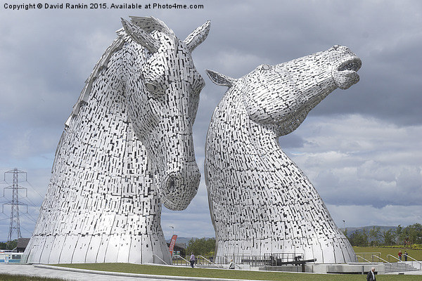 the Kelpies in Helix Park Picture Board by Photogold Prints