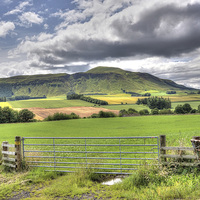 Buy canvas prints of  Fife countryside by Photogold Prints