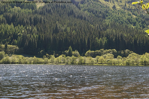  Loch Lubnaig , Scotland Picture Board by Photogold Prints
