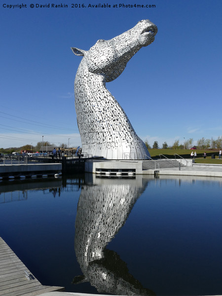  The Kelpies , Helix Park , Falkirk Picture Board by Photogold Prints