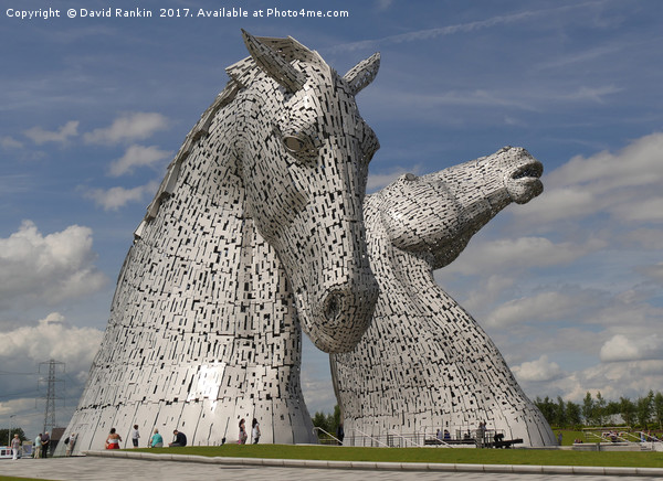 the Kelpies, Helix Park, Falkirk , Scotland Picture Board by Photogold Prints