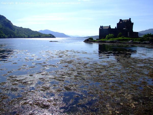 Eilean Donan Castle , the Highlands , Scotland Picture Board by Photogold Prints