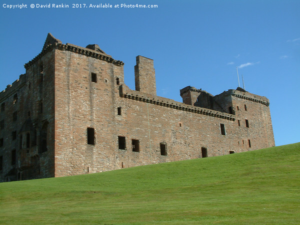 Linlithgow  Palace in the summer Picture Board by Photogold Prints