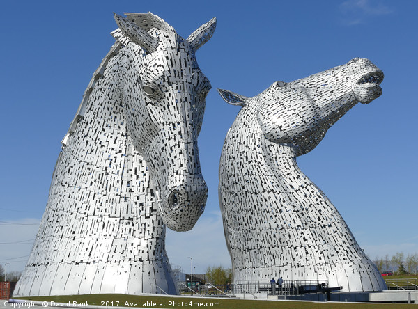 The Kelpies sculptures in Falkirk  Picture Board by Photogold Prints