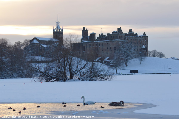 Snowy Linlithgow Palace in winter Picture Board by Photogold Prints