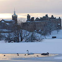 Buy canvas prints of Snowy Linlithgow Palace in winter by Photogold Prints