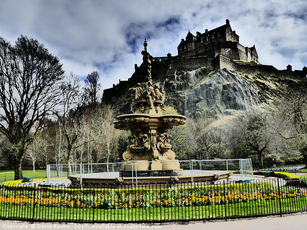 Edinburgh Castle, Scotland Picture Board by Photogold Prints