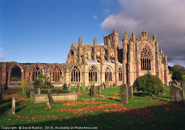 Melrose Abbey , Scotland Picture Board by Photogold Prints