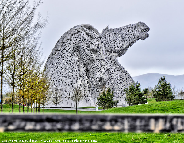 The Kelpies HDR image at the Helix , Falkirk Picture Board by Photogold Prints