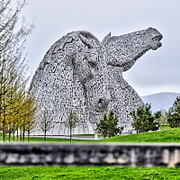 Buy canvas prints of The Kelpies HDR image at the Helix , Falkirk by Photogold Prints