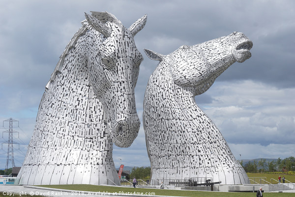 The new visitor centre at the Kelpies in Helix Par Picture Board by Photogold Prints