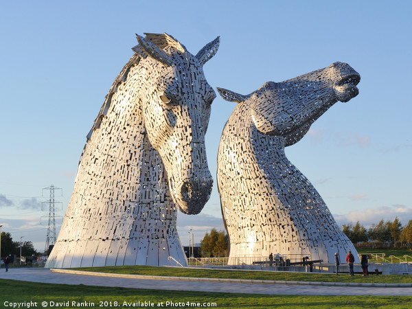 The Kelpies sculptures , the Helix , Falkirk Picture Board by Photogold Prints