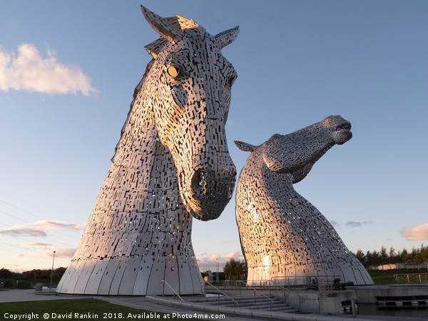 The Kelpies, Helix park , Falkirk Picture Board by Photogold Prints