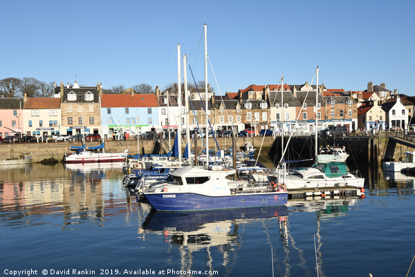 Anstruther harbour , Fife , in winter Picture Board by Photogold Prints