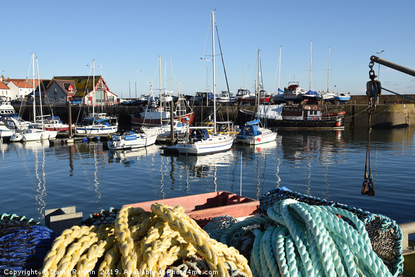 Anstruther harbour , Fife , Scotland in winter Picture Board by Photogold Prints