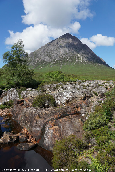 Buachaille Etive Mor, Glen Coe , the Highlands of  Picture Board by Photogold Prints