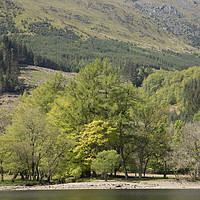 Buy canvas prints of shoreline at Loch Lubhair, near Crianlarich, the H by Photogold Prints