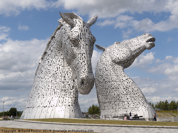 The Kelpies in the Helix park, Falkirk  Picture Board by Photogold Prints