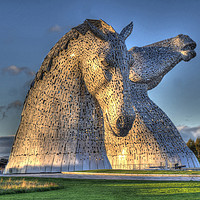 Buy canvas prints of the Kelpies, Helix park, Falkirk HDR by Photogold Prints
