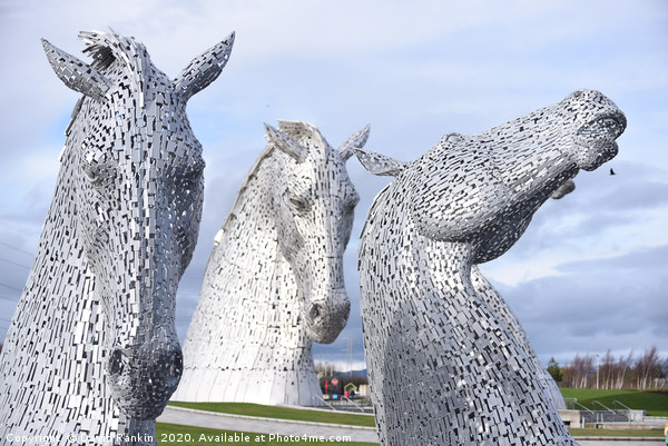 the Kelpies double take , Helix Park, Falkirk , Sc Picture Board by Photogold Prints