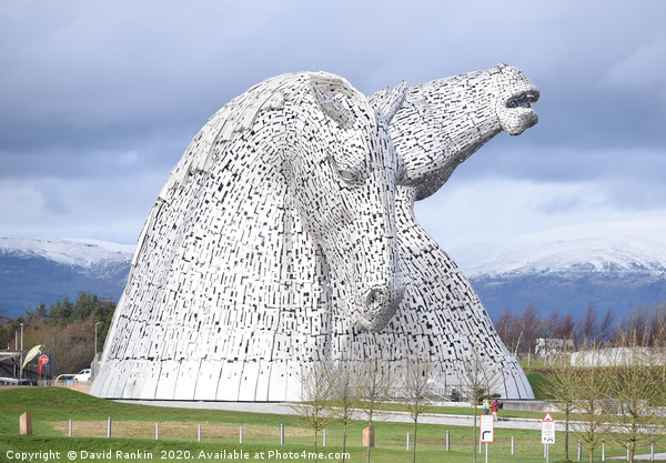 the Kelpies, Helix Park, Scotland Picture Board by Photogold Prints
