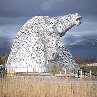 Buy canvas prints of the Kelpies, the Helix, Falkirk, Scotland  by Photogold Prints