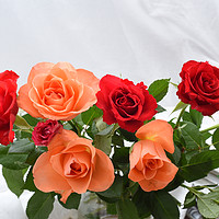 Buy canvas prints of three red roses and three orange roses bouquet by Photogold Prints